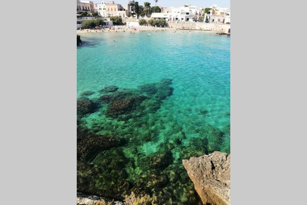 Residence Valentina Int 4 - Rooftop Sea View Infinity Pool Santa Maria al Bagno Exteriör bild