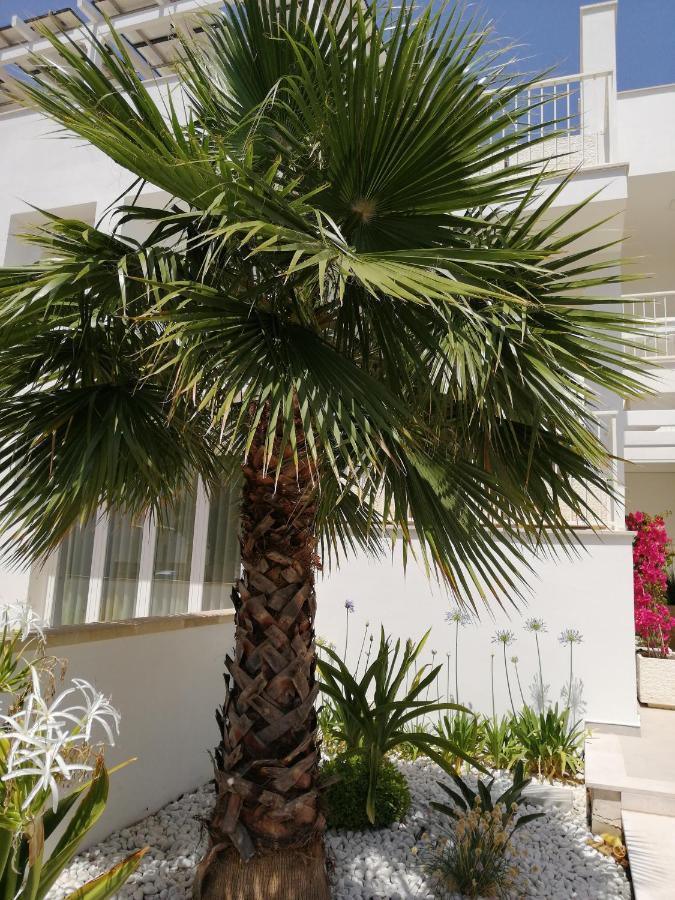 Residence Valentina Int 4 - Rooftop Sea View Infinity Pool Santa Maria al Bagno Exteriör bild
